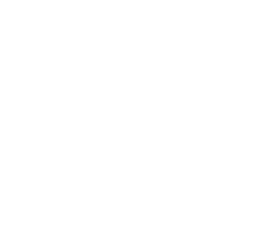 F.CHAPOT