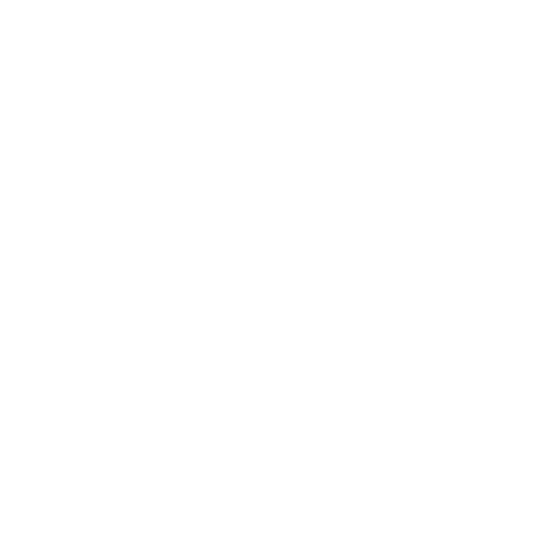 Studio Anneloes