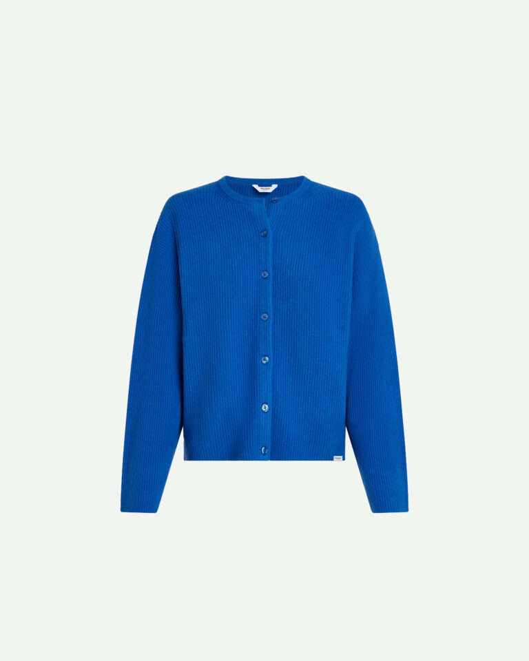 Vest Royal Blue Penn&Ink blauw