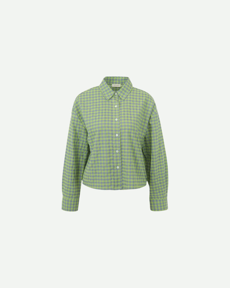 Blouse jenevieve groen geruit jcsophie