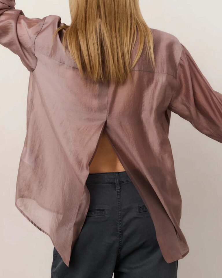 sheer-blouse-with-refined-back-detail_faf53b8f-67e0-46f3-9620-6cd62bb44979