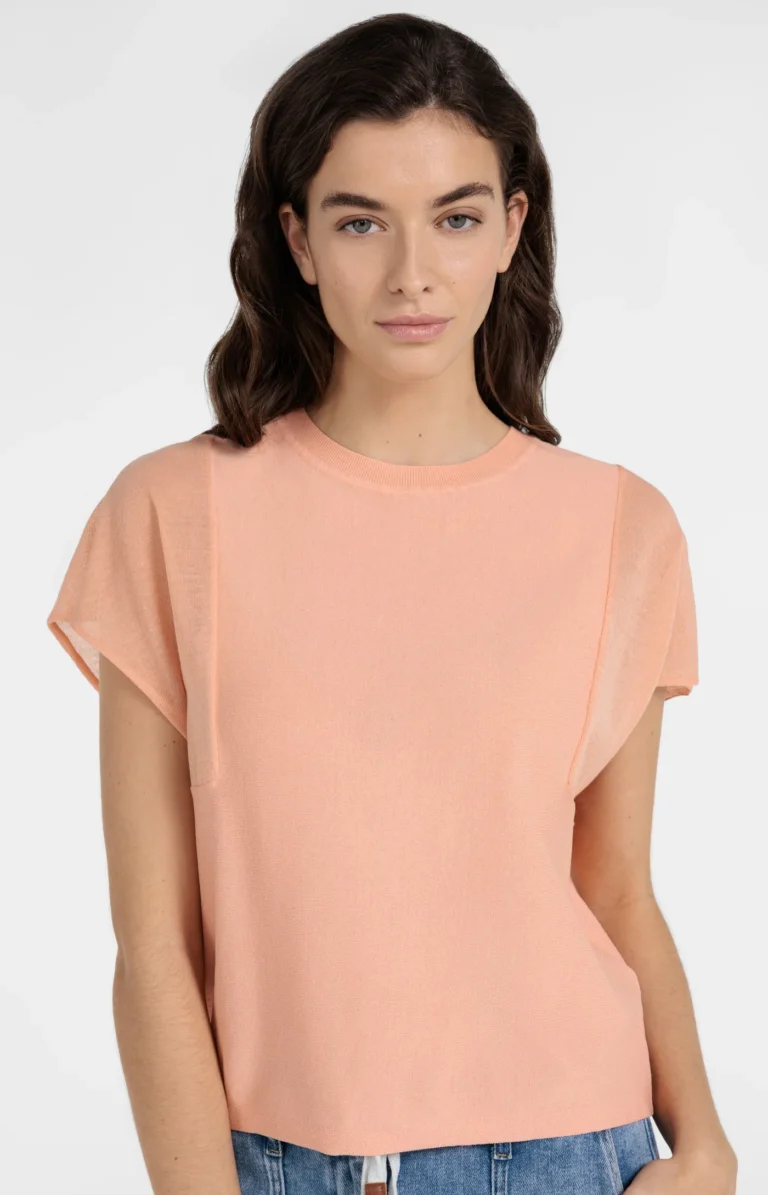 top-with-sheer-short-sleeves-and-crew-neck-2_ebb302c8-f3f2-442c-967e-68ae2587aeac.jpg