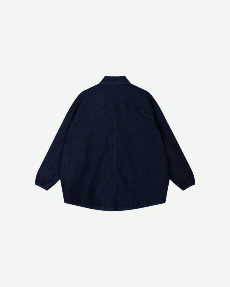blousechambray-10days (3)