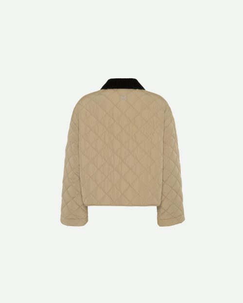 5c6f9e5fa9ae90024c37ea9ab13ef3cf