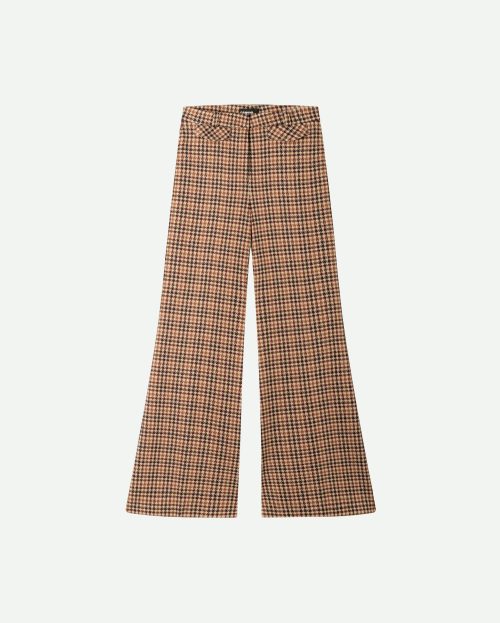 Pantalon Famous Cinnamon Cambio geruit bruin
