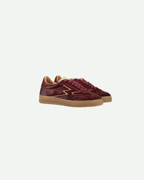 Sneaker Club Deluxe Horsy Moa Concept bordeaux