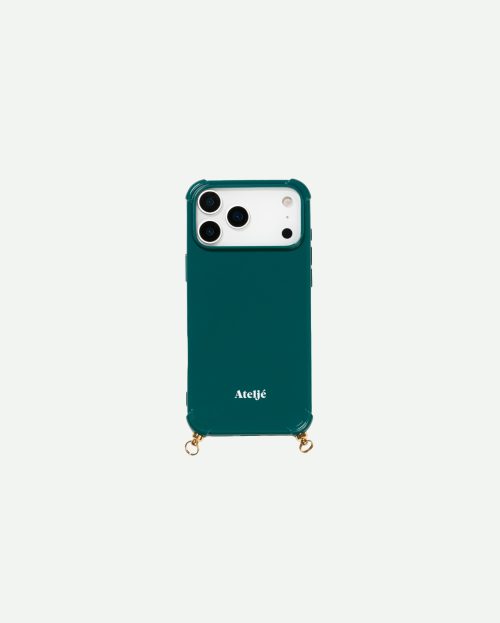 Teal-case-17