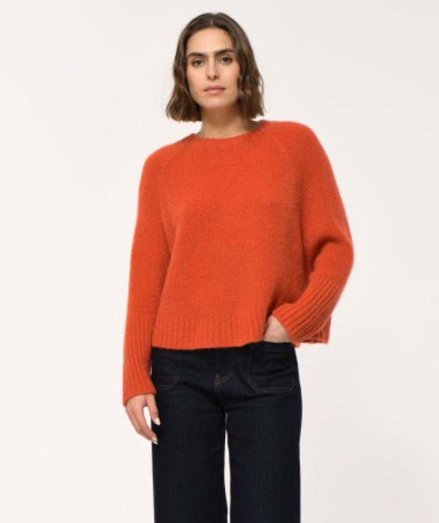 Trui emaia oranje la fee maraboutee1