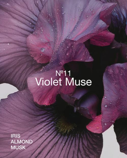 violet muse essential set